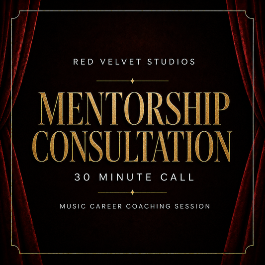 Mentorship Consultation (30 Minute) - 1 Time